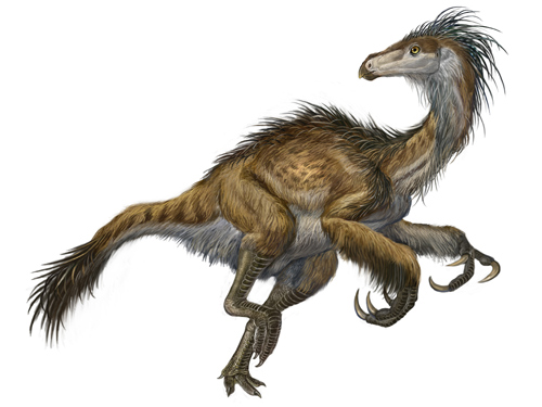 Featherd Dinosaurs - Velociraptor
