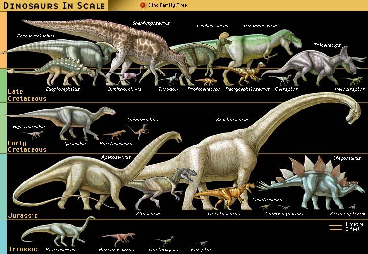 dinosaur interesting facts
