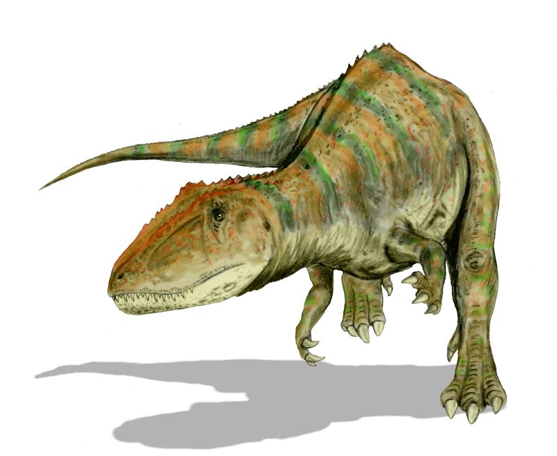 Largest Meat-Eaters Dinosaurs - Carcharodontosaurus saharicus
