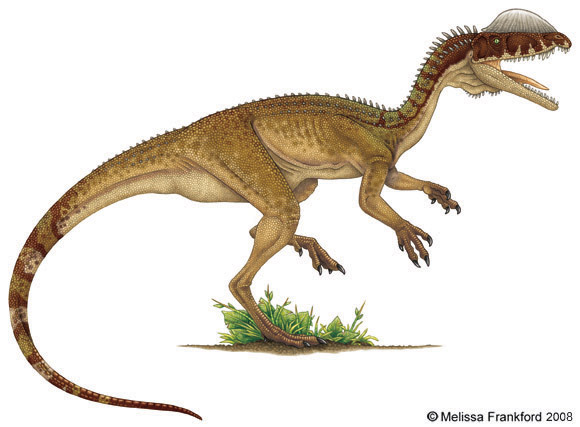 Jurassic Park Dinosaurs - Dilophosaurus