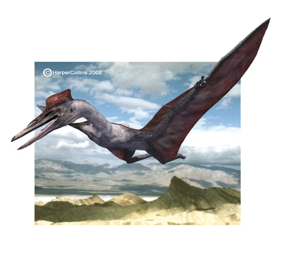 Flying Dinosaurs - Quetzalcoatlus