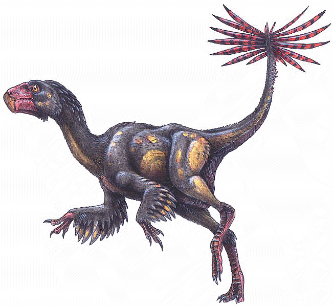 Caudipteryx zoui (Ji, Currie, Norell & Ji. 1998)