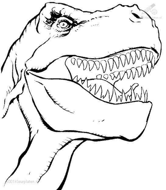 Tyrannosaurus Rex dinosaurs coloring pages