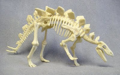 dinosaur bones pictures for kids Stegosaurus