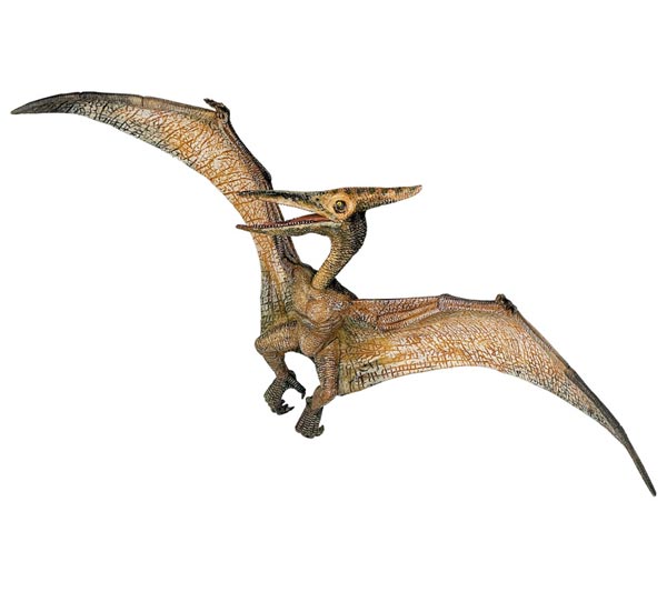 Flying Dinosaurs - Pteranodon