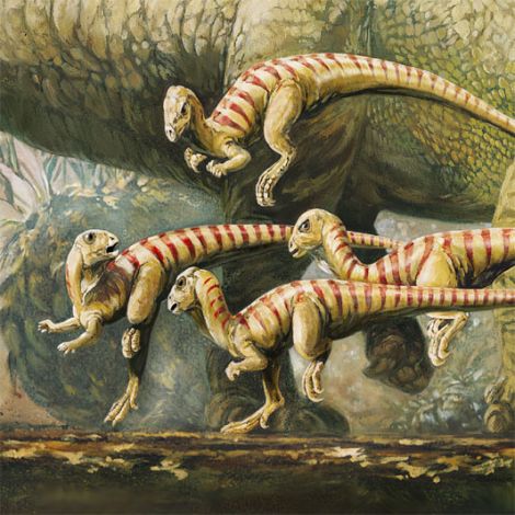 pictures of dinosaurs- Hypsilophodont