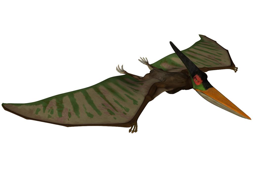 Flying Dinosaurs - Pterosaur