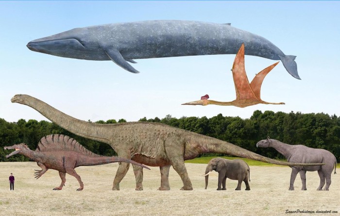 dinosaur fossil fun facts