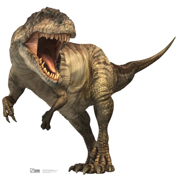 Giganotosaurus dinosaur facts