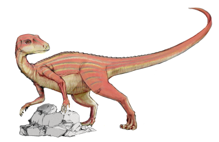 Abrictosaurus dinosaur facts
