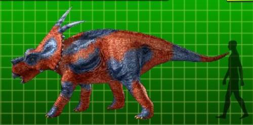 achelousaurus size