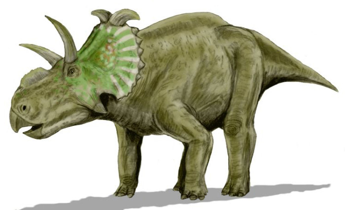 agujaceratops facts sheets