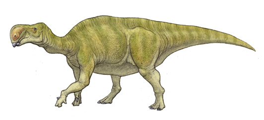 altirhinus dinosaur facts