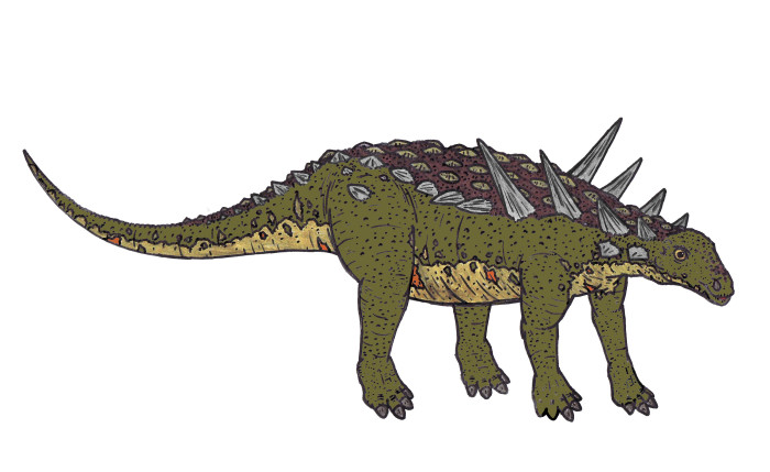 Animantarx Dinosaur Facts for Kids