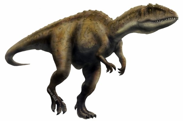 carcharodontosaurus and giganotosaurus