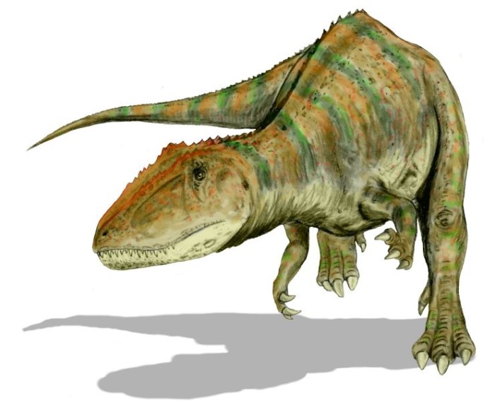 carcharodontosaurus size