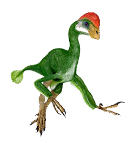 Chirostenotes Dinosaur Facts