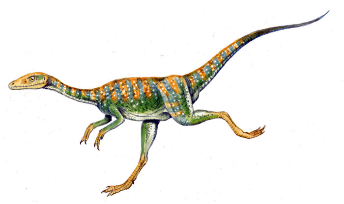 Compsognathus habitat
