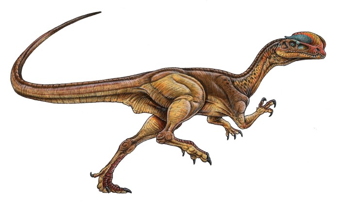Dilophosaurus+wetherelli-700x419.jpg