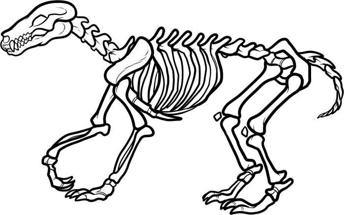 Free Dinosaur Skeleton Coloring Page