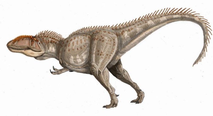 giganotosaurus primeval