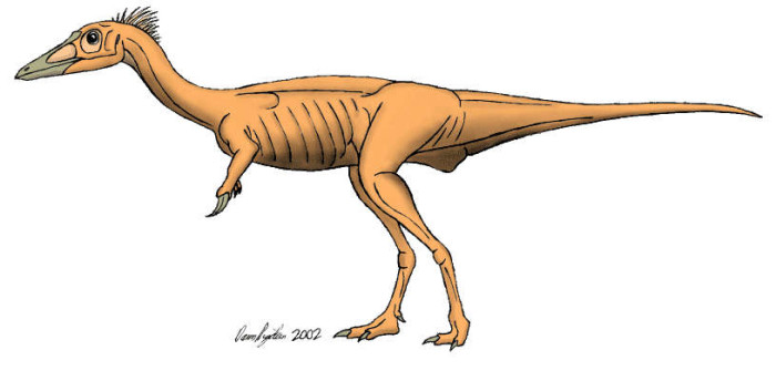 Rapator Dinosaur Facts