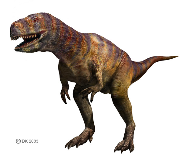 afrovenator vs spinosaurus