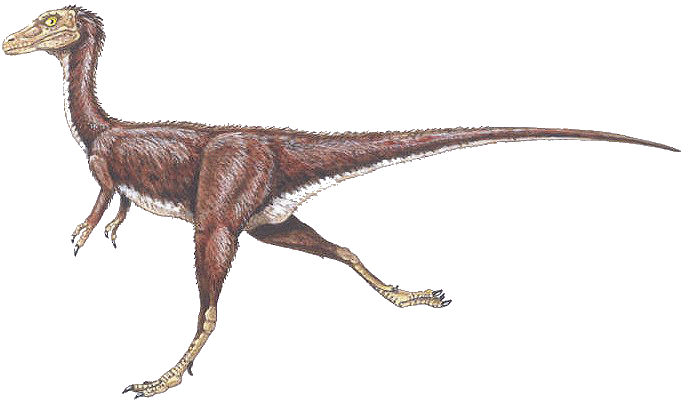 Falcarius dinosaur facts
