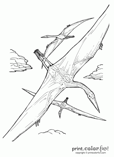 quetzalcoatlus dinosaur printable coloring page