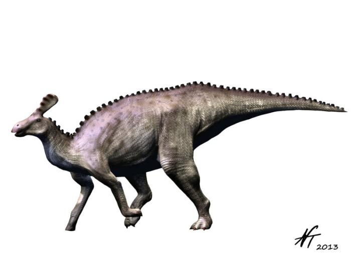Tsintaosaurus habitat