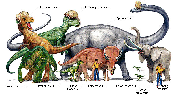 all types of dinosaurs with pictures and names