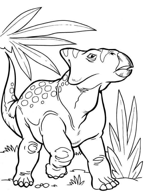 Ceratopsian from Late Cretaceous Period in Dinosaur Coloring Page