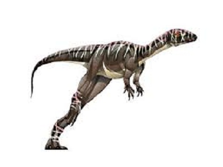Agrosaurus Dinosaur Facts