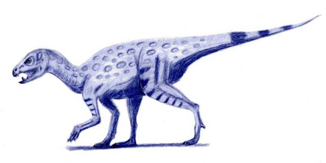 Heterodontosaurus Fact