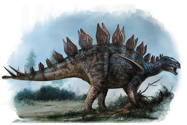 Huayangosaurus Dinosaur King