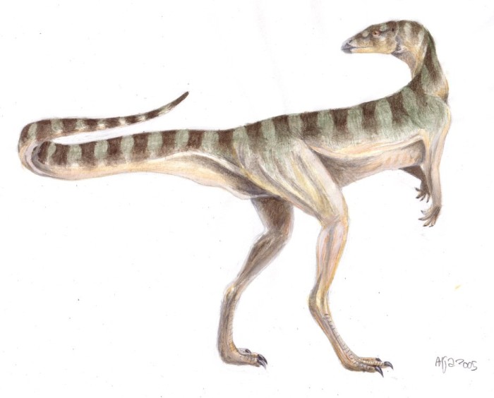 Lesothosaurus Dinosaurs