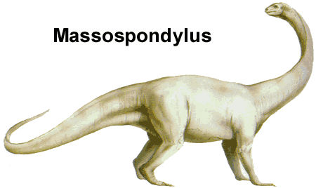 Massospondylus Dinosaur Fact