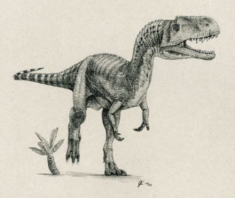 Monolophosaurus Dinosaurs