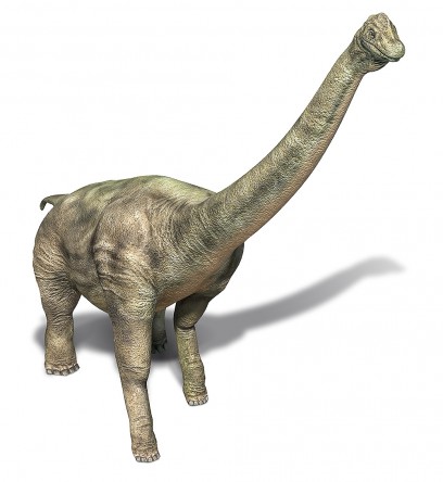 Omeisaurus Fact