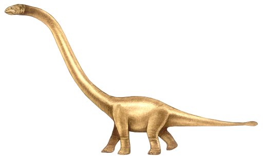 Omeisaurus skeleton