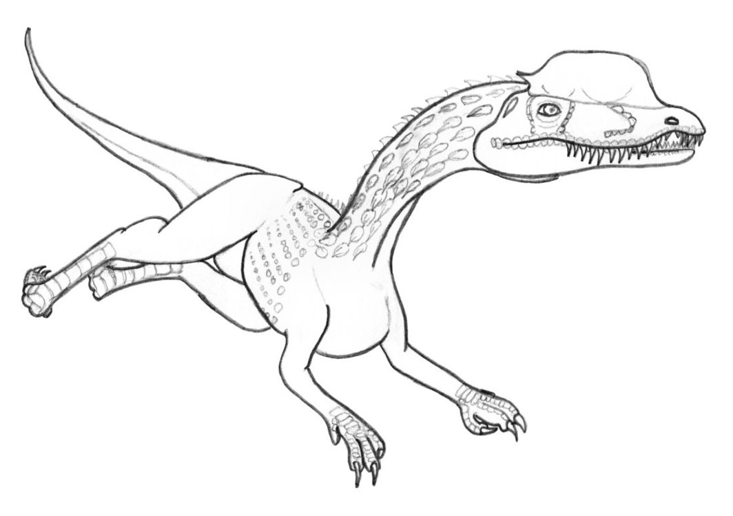 Free Dilophosaurus coloring