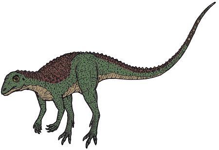 Scutellosaurus Dinosaur
