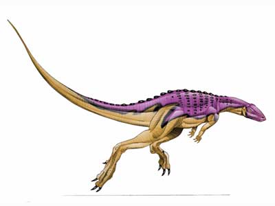 Scutellosaurus Predator