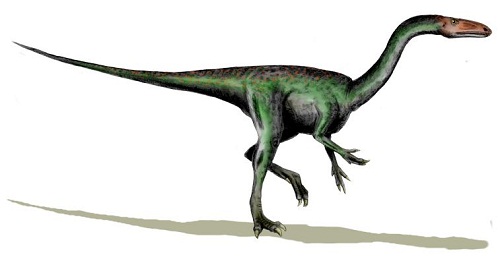 Segisaurus Dinosaur