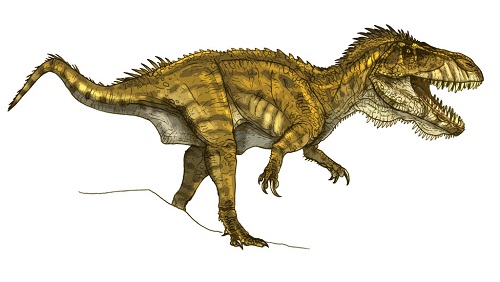 Torvosaurus Fact