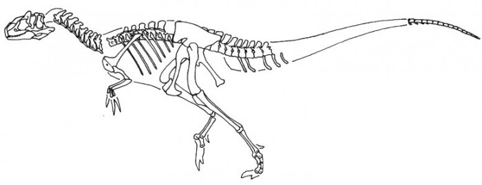 Skeleton of Abrictosaurus Coloring Pages