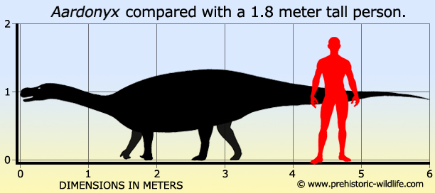 Aardonyx Size Comparison
