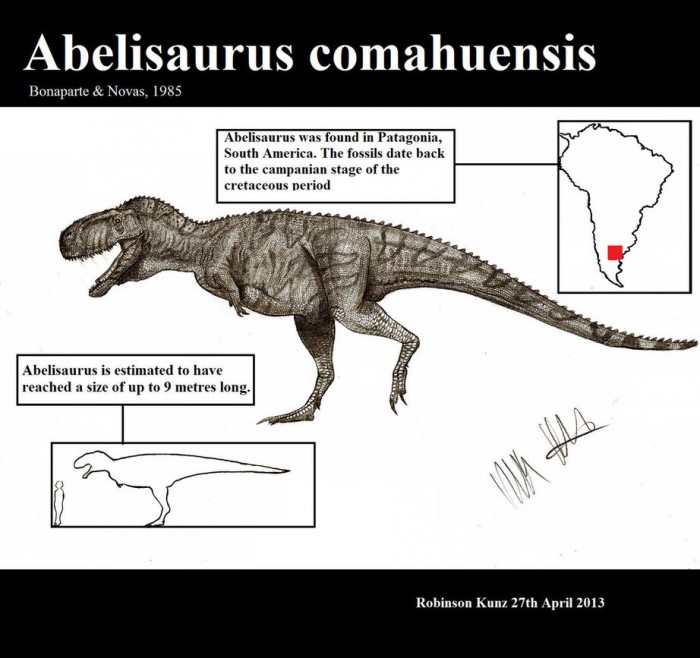 Abelisaurus Infographic