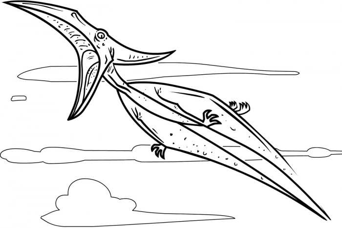 Printable Pteranodon Coloring Page