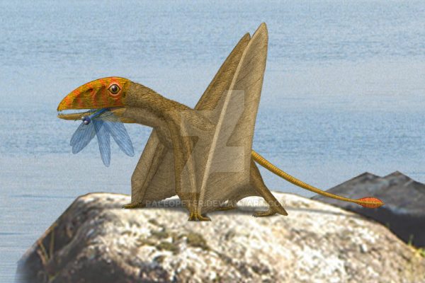 Peteinosaurus Facts – Stunning Winged Lizard with extra-long fingers